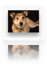 collage image title
