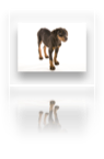 collage image title