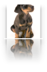 collage image title
