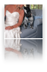 collage image title