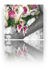 collage image title