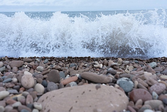 At the Water's Edge