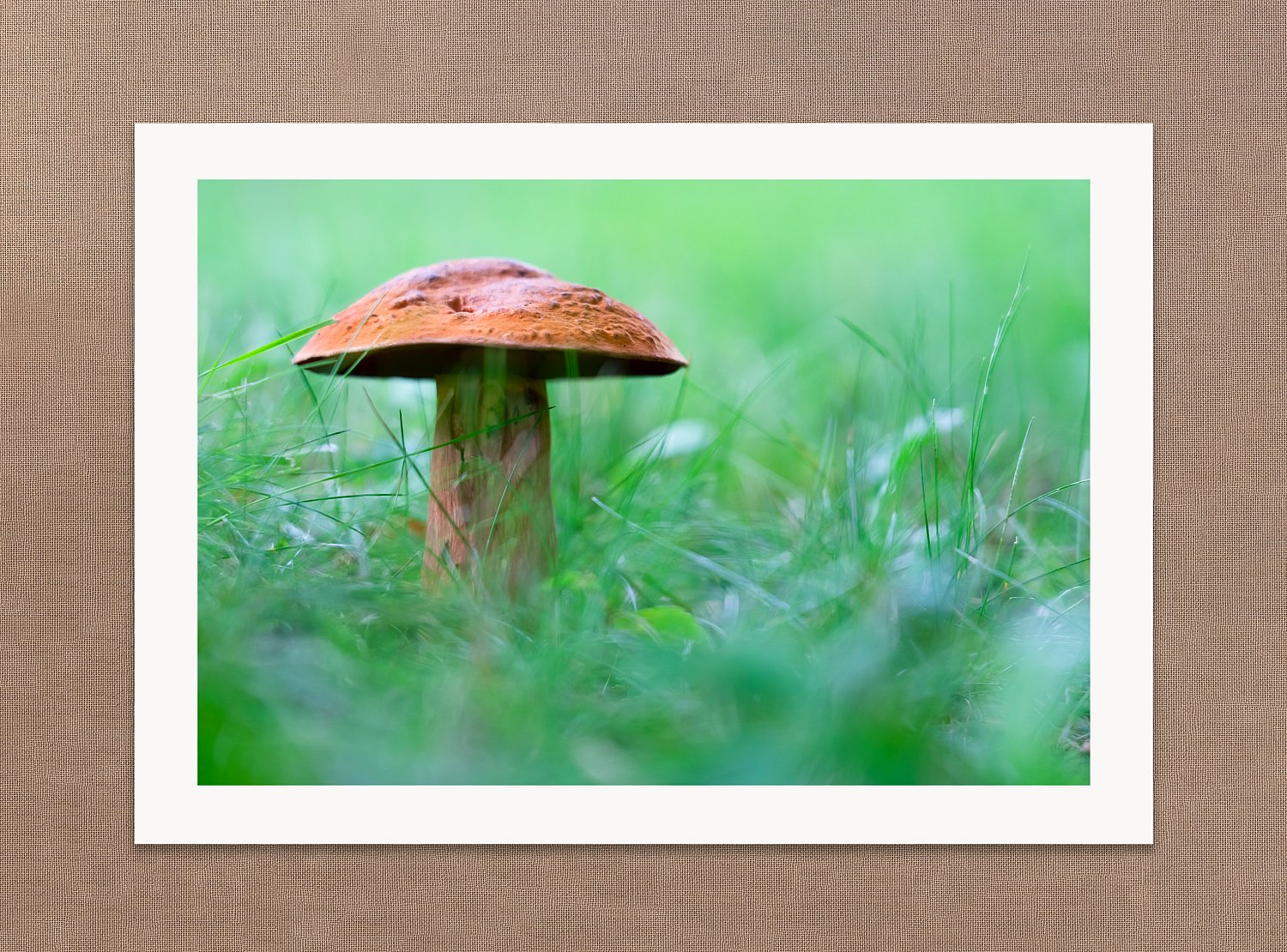A World of its Own | AWorldOfItsOwn.jpg