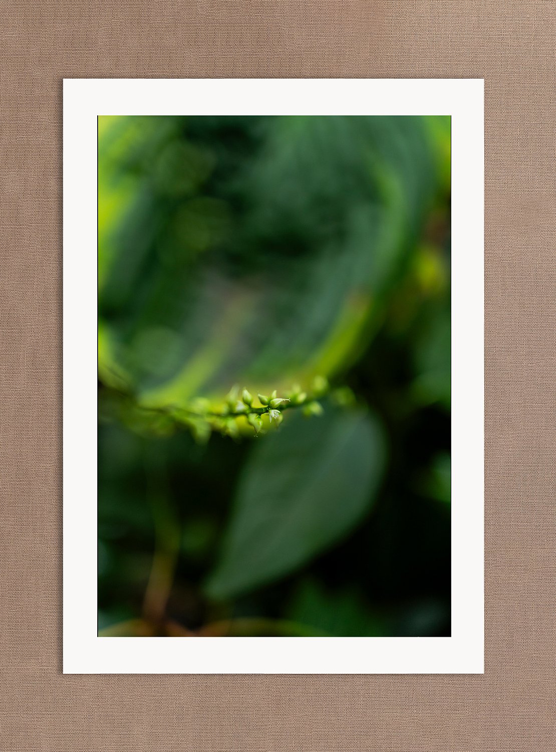 Unfolding | Unfolding.jpg
