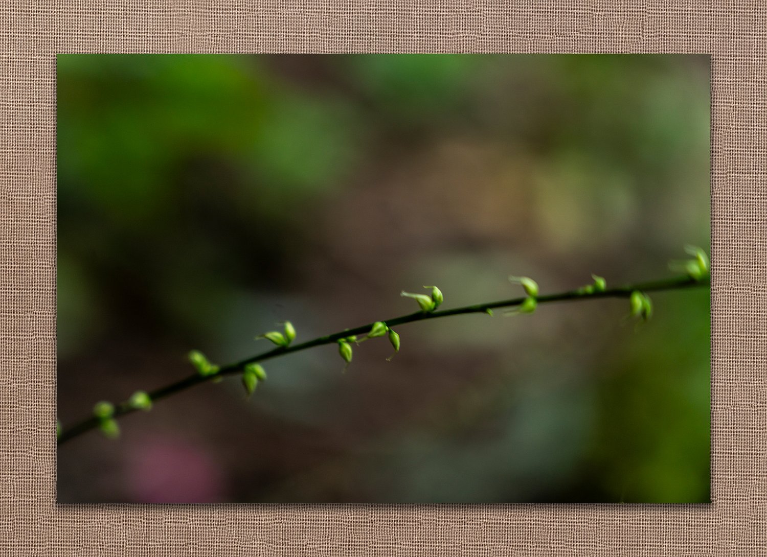 Along the Way | AlongTheWay.jpg
