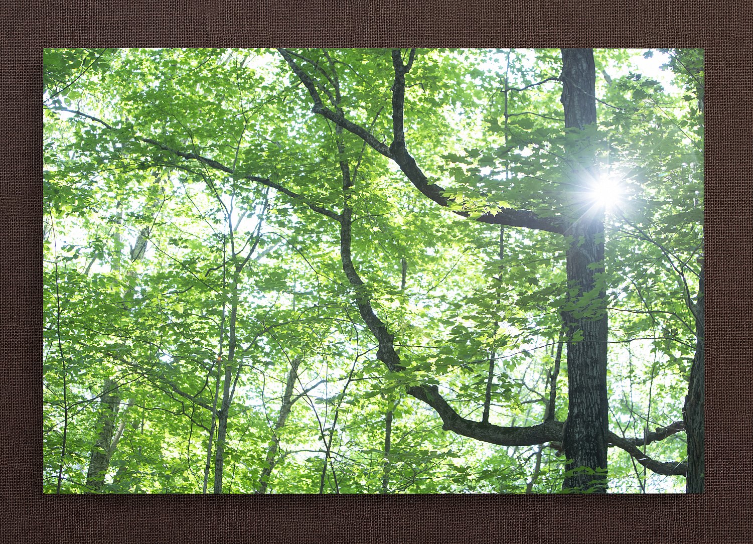 Finding the Light | FindingTheLight.jpg