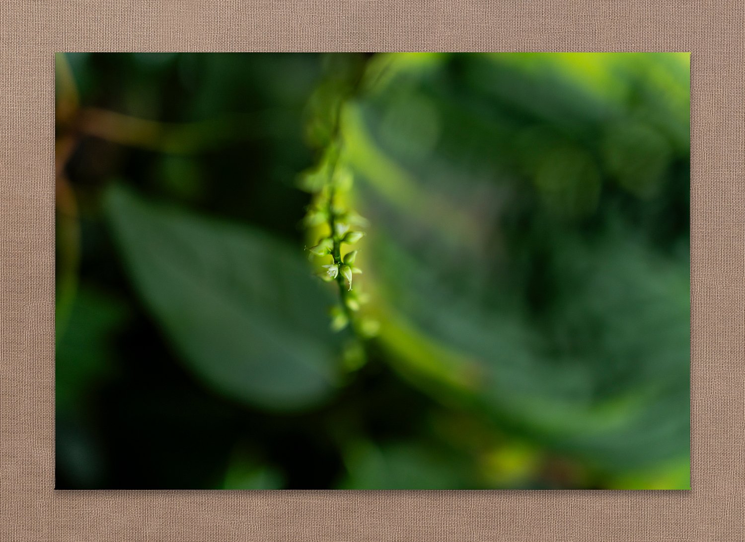 Unfolding | Unfolding.jpg