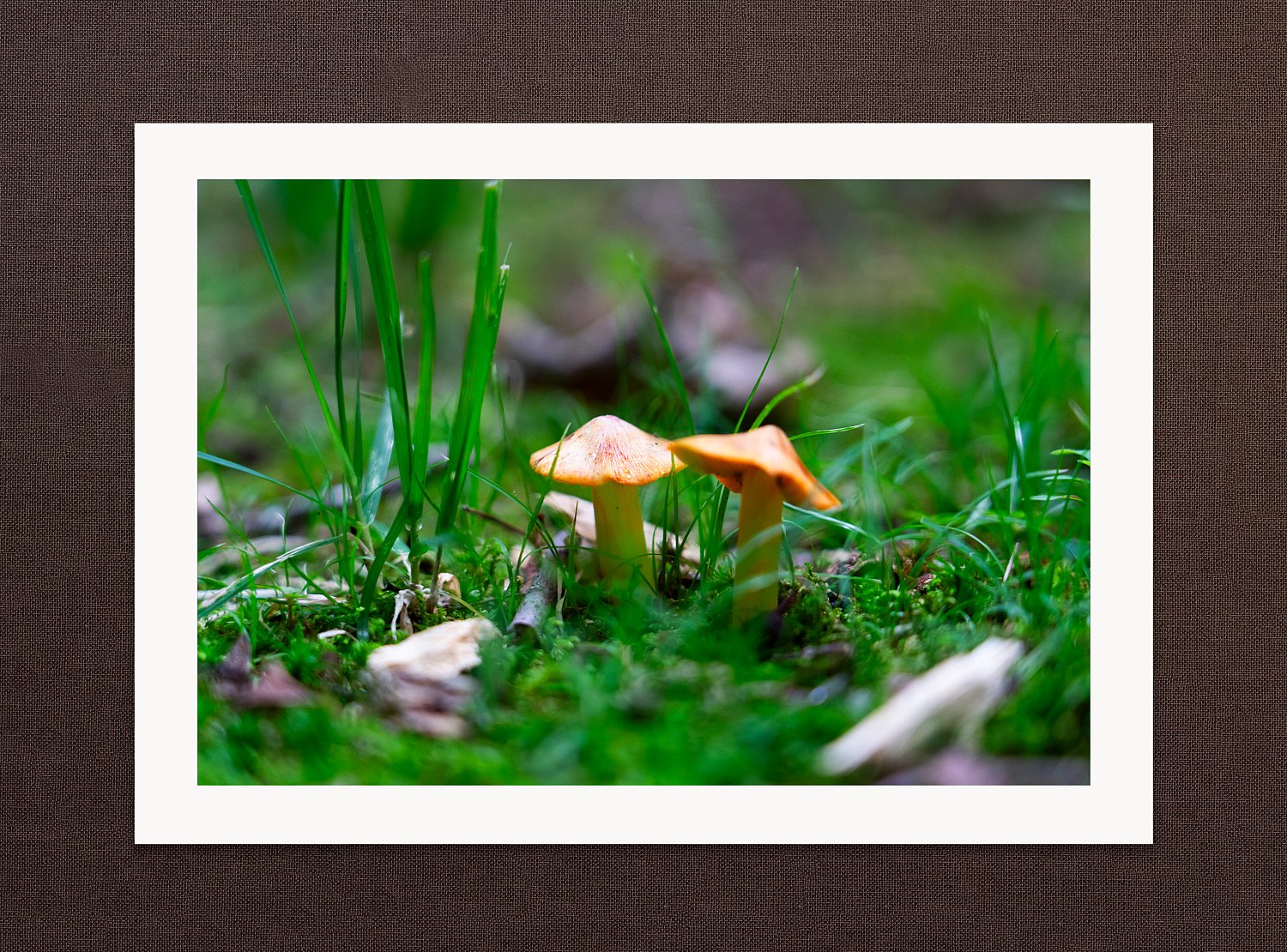 Underfoot | Underfoot.jpg