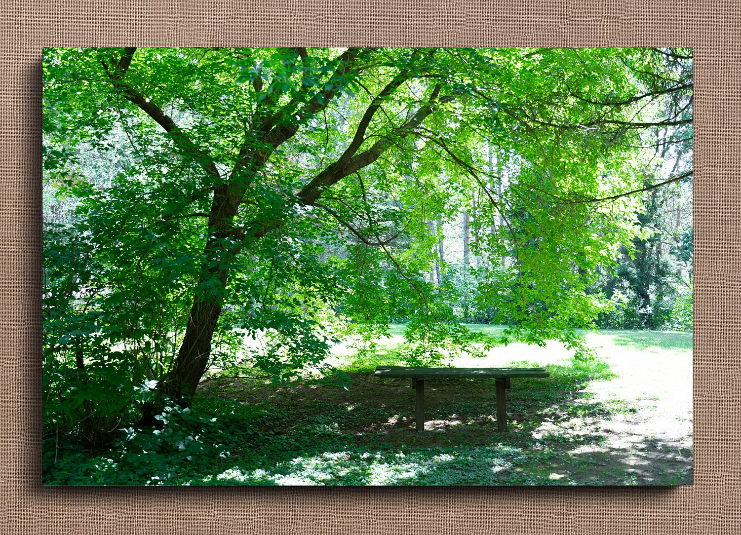 A Place To Stay Awhile | APlaceToStayAwhile.jpg