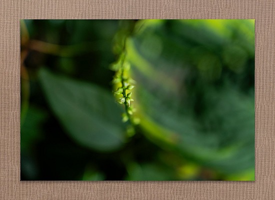Unfolding