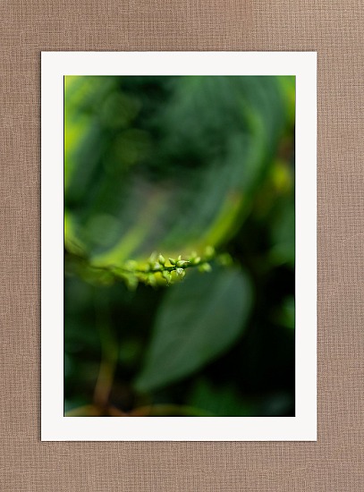 Unfolding