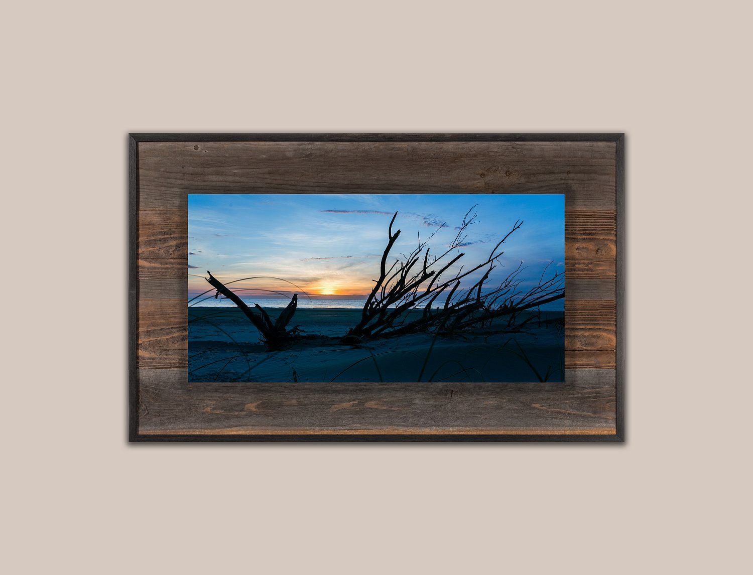 Washed Ashore | WashedAshoreFinal.jpg